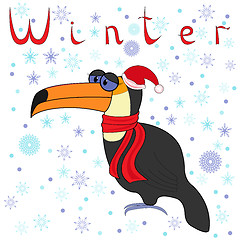 Image showing Why Toucan is so cold in winter?