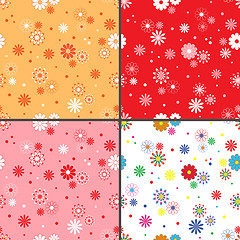 Image showing Four seamless vector patterns with daisy flowers