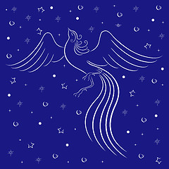 Image showing Graceful firebird contour over blue