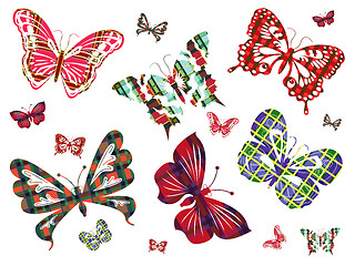 Image showing Six different butterflies with Celtic ornament