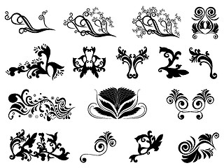 Image showing Set of black silhouettes of floral elements over white 