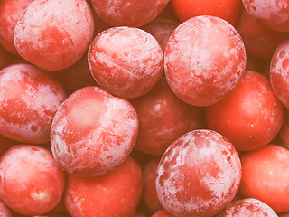 Image showing Retro looking Prunes