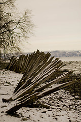 Image showing Winter and water