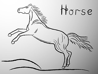 Image showing Graceful Horse contour