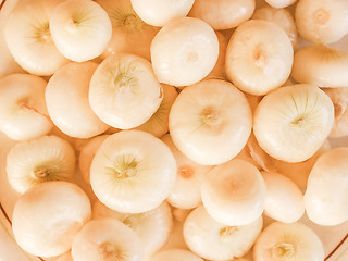 Image showing Retro looking Onions