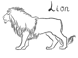 Image showing Black graceful Lion contour