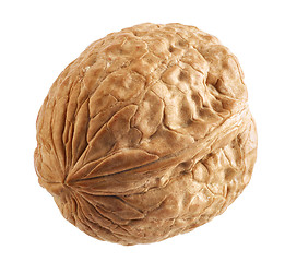 Image showing walnut macro