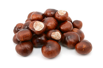 Image showing Shiny brown conkers