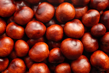 Image showing Rich brown autumn conkers background