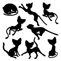 Image showing Eight silhouettes of funny cats