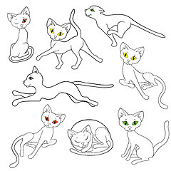 Image showing Eight contours of funny cats