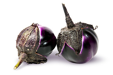 Image showing Supine and standing round ripe eggplants