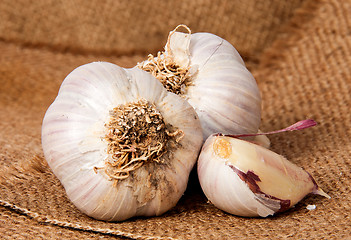 Image showing Two heads of garlic and garlic clove on sackcloth