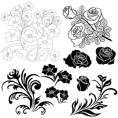 Image showing Set of isolated floral elements for design