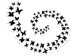 Image showing Spiral of flying butterflies