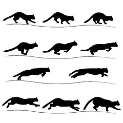 Image showing Set of running black cat silhouettes