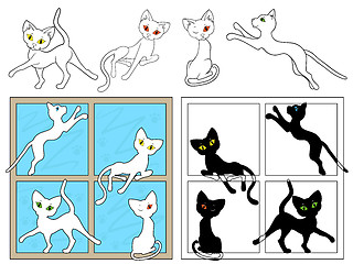 Image showing Black and white cats on the windows