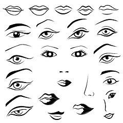 Image showing Human eyes, lips, eyebrows and noses