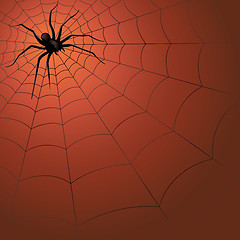Image showing Big dark spider on the web