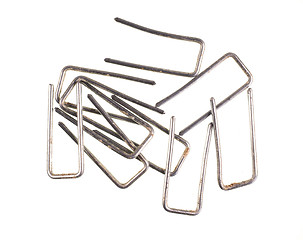 Image showing Metallic staples