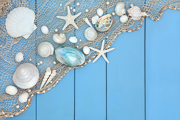 Image showing Seashell Collage 