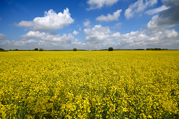 Image showing Landscape and clouds