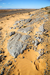 Image showing  old fossil in  the  