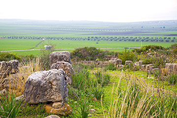 Image showing volubilis in morocco africa  