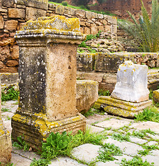 Image showing chellah  in morocco africa the old roman deteriorated monument a