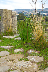 Image showing volubilis in morocco africa the old roman  and site