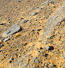 Image showing  old fossil in  the desert of morocco sahara and rock  stone sky