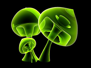 Image showing Translucent Mushroom Family