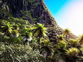 Image showing Tropical paradise