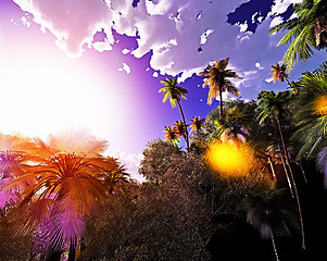 Image showing Tropical paradise