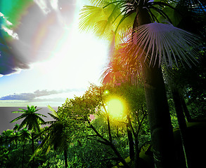 Image showing Sunset in tropical paradise