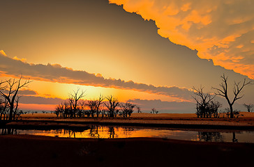 Image showing Dry landscape with dead trees