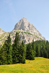 Image showing Sparafeld, Austria