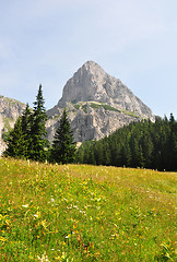 Image showing Sparafeld, Austria