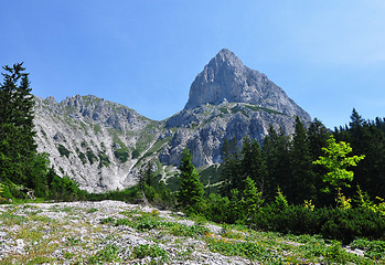 Image showing Rubble field with Admonter Kalbling and Sparafeld, Austria