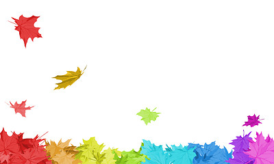 Image showing Rainbow Maple Leaves