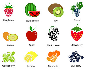 Image showing Set of Fruit Icons With Title