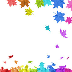 Image showing Rainbow Maple Leaves