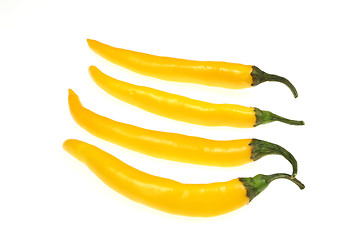 Image showing Chili peppers