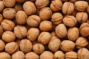 Image showing Walnuts