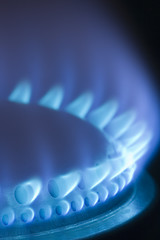 Image showing Blue flames of gas stove