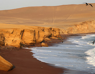 Image showing Red Beach, Paracas, Peru