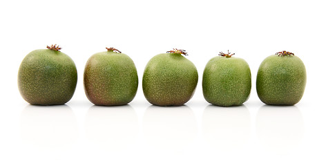 Image showing Line of five kiwi berries