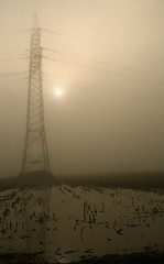 Image showing Stream Mast With Fog