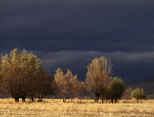 Image showing thunderstorm and sun