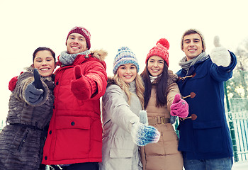 Image showing group of smiling men and women in winter forest